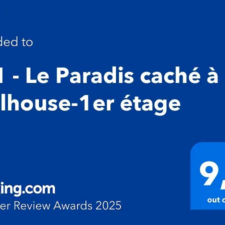 Ri 1 - F3 Le Paradis Cache En Hyper Centre - Ideal Famille Mulhouse